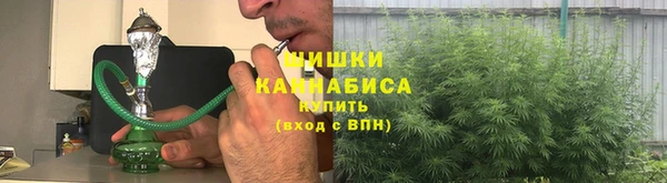 ПСИЛОЦИБИНОВЫЕ ГРИБЫ Алексин